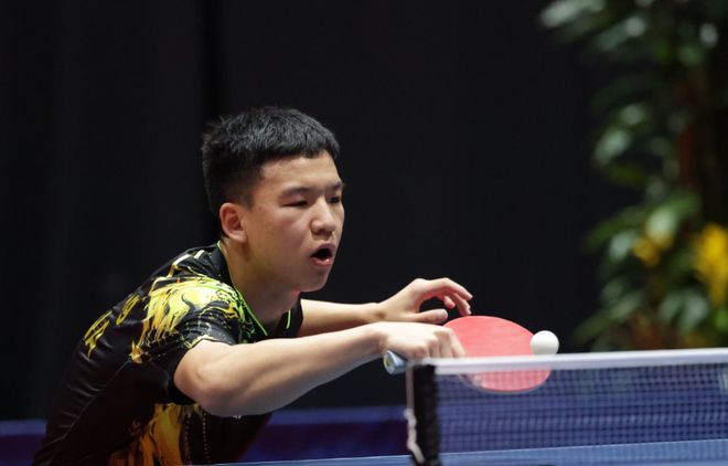 现出极高的 现出极高的